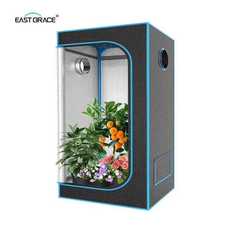 -720W (7)