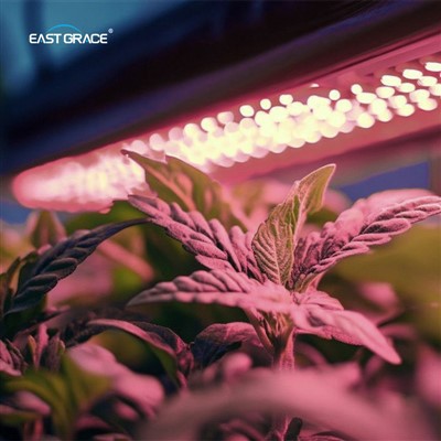 1.2mの垂直農業LEDは光を伸ばしました