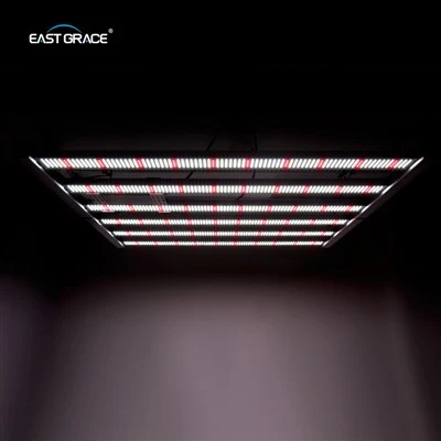 折りたたみ式LEDグローライトバーA